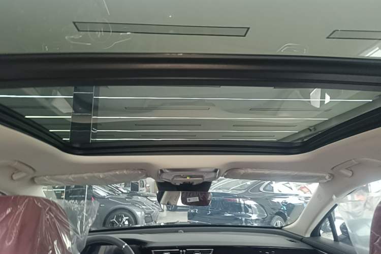 Used Hongqi H5 2025 Model 2.0T Automatic Xuan Ying 2 Million Units Commemorative Edition Headliner
