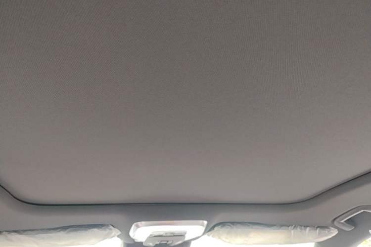 Used Hongqi H5 2025 Model 2.0T Automatic Xuan Ying 2 Million Units Commemorative Edition Headliner