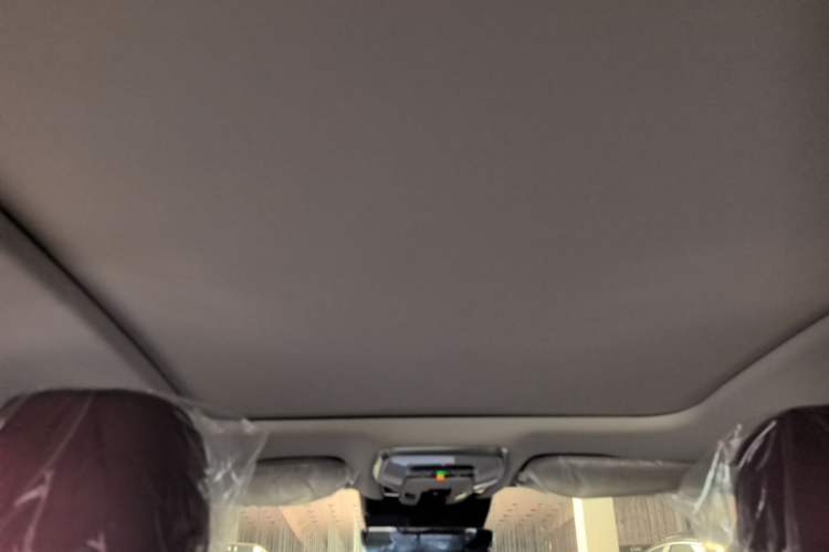 Used Hongqi H5 2025 2.0T Automatic Flag Edition – 500 000 Units Commemorative Version Headliner