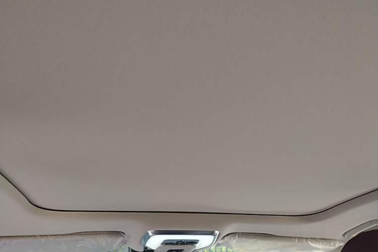 Used Hongqi H5 2025 2.0T Automatic Flag Edition – 500 000 Units Commemorative Version Headliner