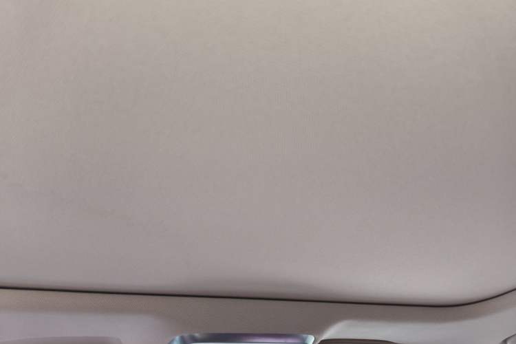 Used Hongqi H5 2025 2.0T Automatic Flag Edition – 500 000 Units Commemorative Version Headliner