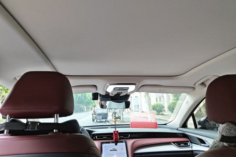 Used Hongqi H5 2025 Model 2.0T Automatic Xuan Ying 2 Million Units Commemorative Edition Headliner