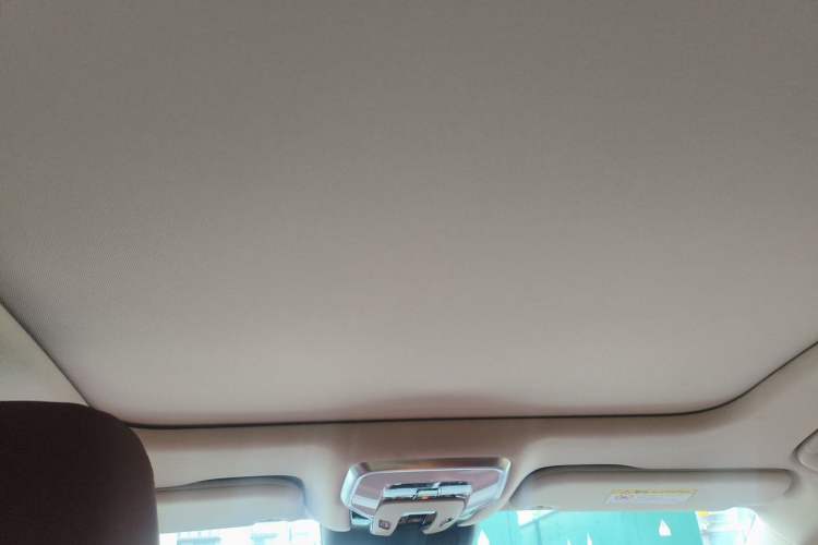 Used Hongqi H5 2025 2.0T Automatic Flag Edition – 500 000 Units Commemorative Version Headliner
