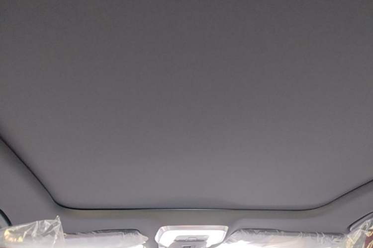 Used Hongqi H5 2025 Model 2.0T Automatic Xuan Ying 2 Million Units Commemorative Edition Headliner