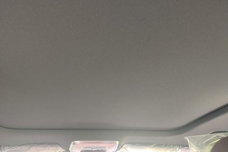 Used Hongqi H5 2025 2.0T Automatic Xuan Ying Edition Headliner