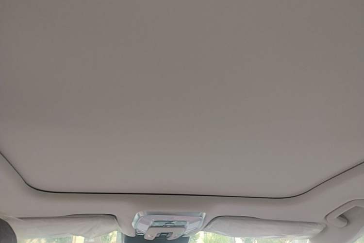 Used Hongqi H5 2025 2.0T Automatic Flag Edition – 500 000 Units Commemorative Version Headliner