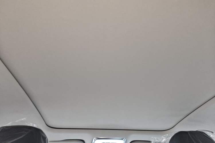 Used Hongqi H5 2025 2.0T Automatic Flag Edition – 500 000 Units Commemorative Version Headliner