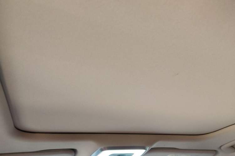 Used Hongqi H5 2025 2.0T Automatic Flag Edition – 500 000 Units Commemorative Version Headliner