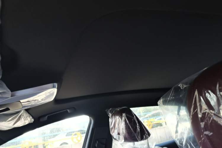 Used Hongqi H5 2025 Model 2.0T Automatic Xuan Ying 2 Million Units Commemorative Edition Headliner