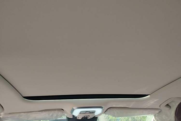 Used Hongqi H5 2025 2.0T Automatic Flag Edition – 500 000 Units Commemorative Version Headliner