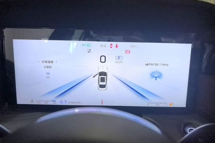 Used Hongqi H5 2025 2.0T Automatic Flag Edition – 500 000 Units Commemorative Version Instrument Cluster