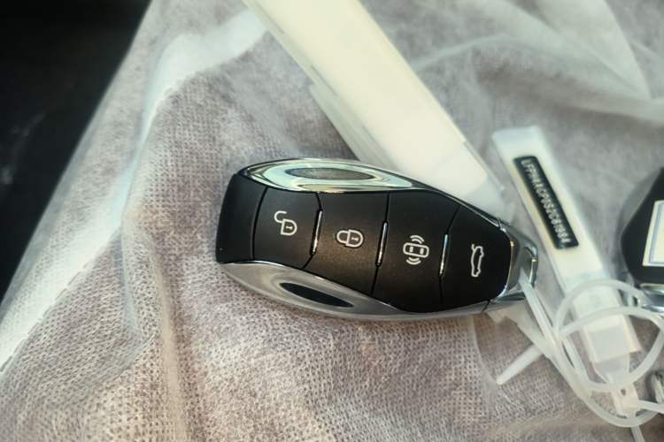 Used Hongqi H5 2025 2.0T Automatic Flag Edition – 500 000 Units Commemorative Version Interior 1