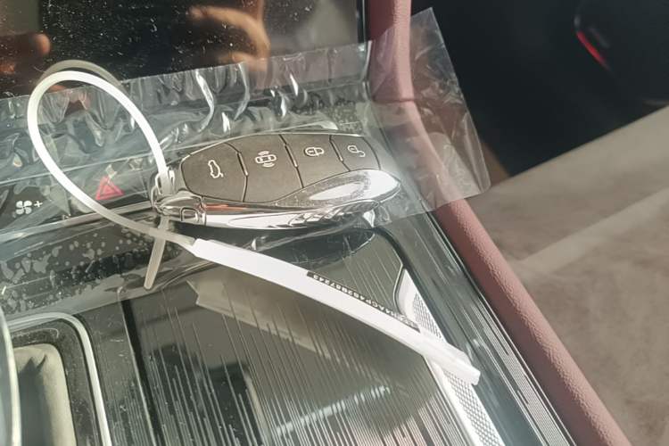 Used Hongqi H5 2025 2.0T Automatic Flag Edition – 500 000 Units Commemorative Version Interior 1