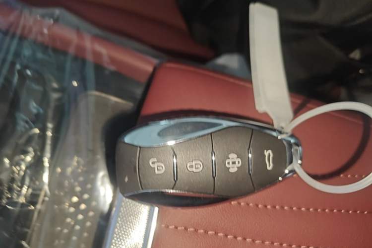 Used Hongqi H5 2025 2.0T Automatic Flag Edition – 500 000 Units Commemorative Version Interior 1