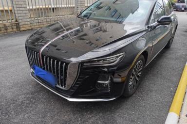 Used Hongqi H5 2025 2.0T Automatic Flag Edition – 500 000 Units Commemorative Version
