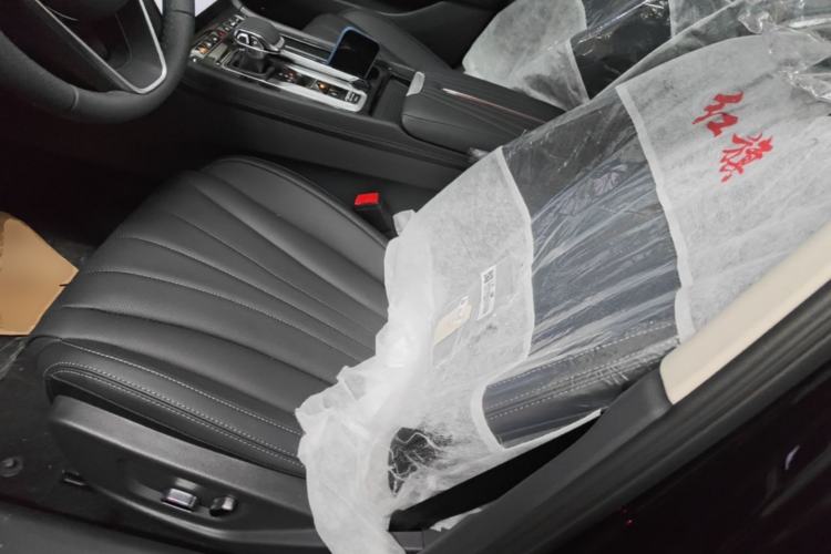 Used Hongqi H5 2025 2.0T Automatic Flag Edition – 500 000 Units Commemorative Version Left Front Seat