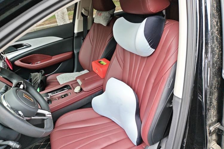 Used Hongqi H5 2025 Model 2.0T Automatic Xuan Ying 2 Million Units Commemorative Edition Left Front Seat