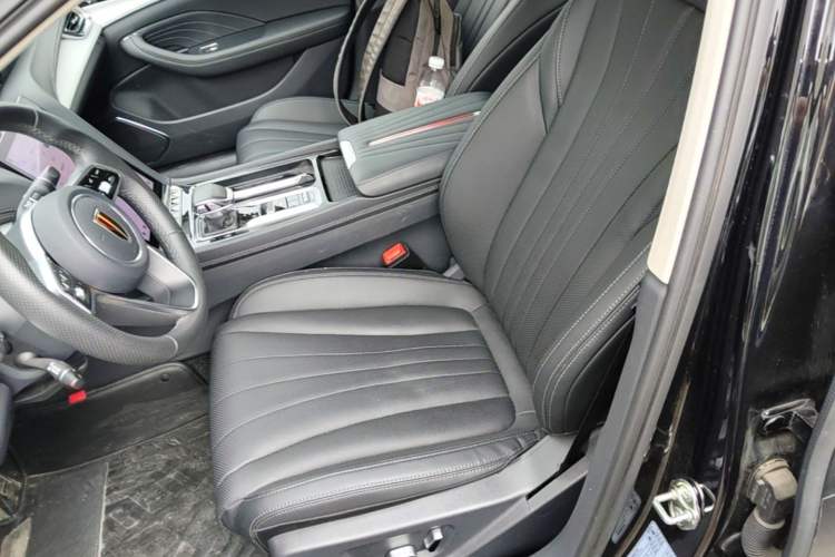Used Hongqi H5 2025 2.0T Automatic Flag Edition – 500 000 Units Commemorative Version Left Front Seat