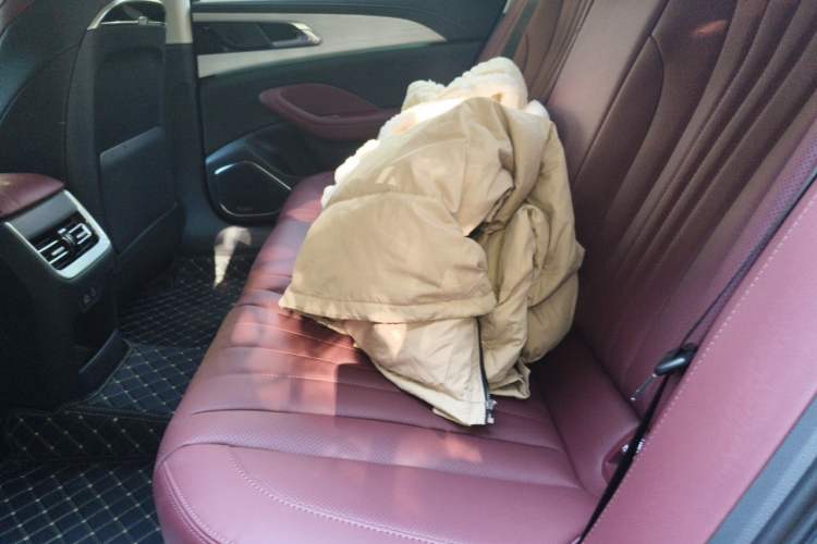 Used Hongqi H5 2025 2.0T Automatic Flag Edition – 500 000 Units Commemorative Version Left Rear Seat