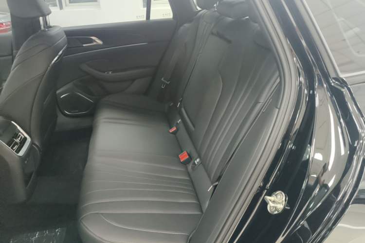 Used Hongqi H5 2025 Model 2.0T Automatic Xuan Ying 2 Million Units Commemorative Edition Left Rear Seat