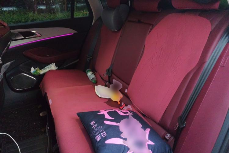 Used Hongqi H5 2025 2.0T Automatic Flag Edition – 500 000 Units Commemorative Version Left Rear Seat