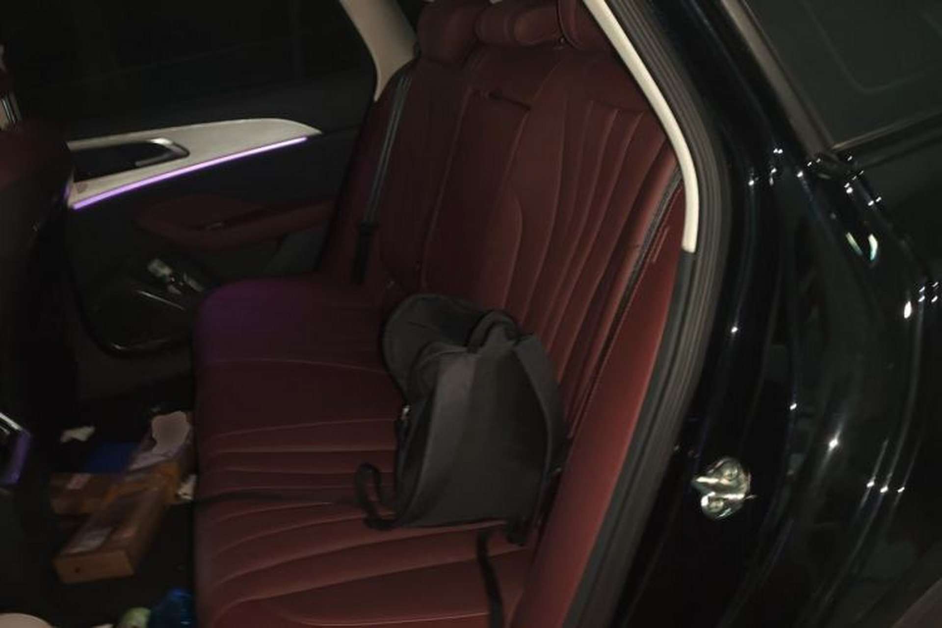 Used Hongqi H5 2025 2.0T Automatic Xuan Ying Edition Left Rear Seat