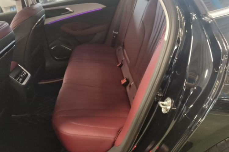 Used Hongqi H5 2025 2.0T Automatic Flag Edition – 500 000 Units Commemorative Version Left Rear Seat