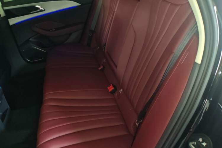 Used Hongqi H5 2025 2.0T Automatic Flag Edition – 500 000 Units Commemorative Version Left Rear Seat