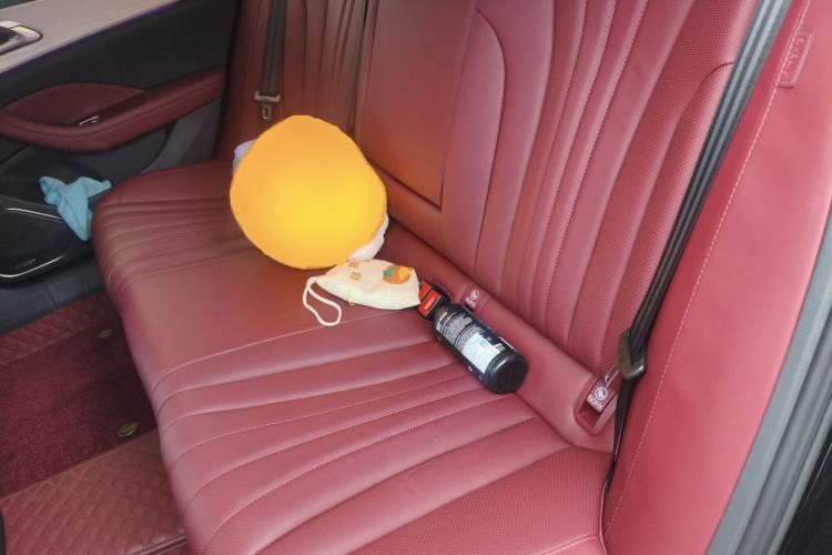 Used Hongqi H5 2025 2.0T Automatic Flag Edition – 500 000 Units Commemorative Version Left Rear Seat