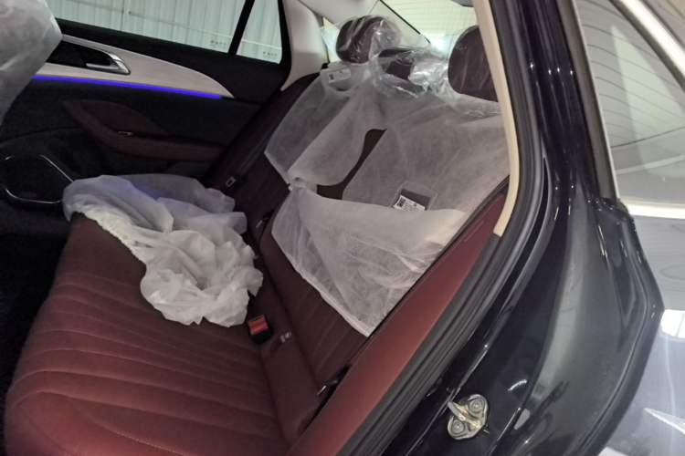 Used Hongqi H5 2025 2.0T Automatic Flag Edition – 500 000 Units Commemorative Version Left Rear Seat