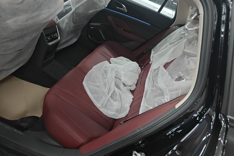 Used Hongqi H5 2025 Model 2.0T Automatic Xuan Ying 2 Million Units Commemorative Edition Left Rear Seat