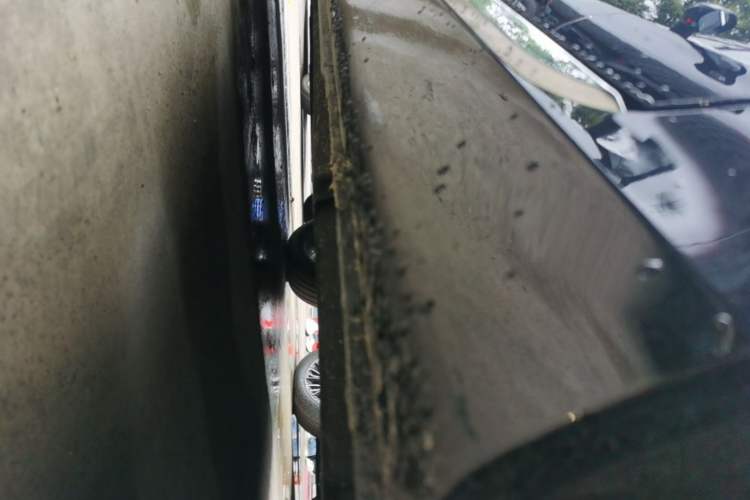 Used Hongqi H5 2025 2.0T Automatic Flag Edition – 500 000 Units Commemorative Version Left Side Sill