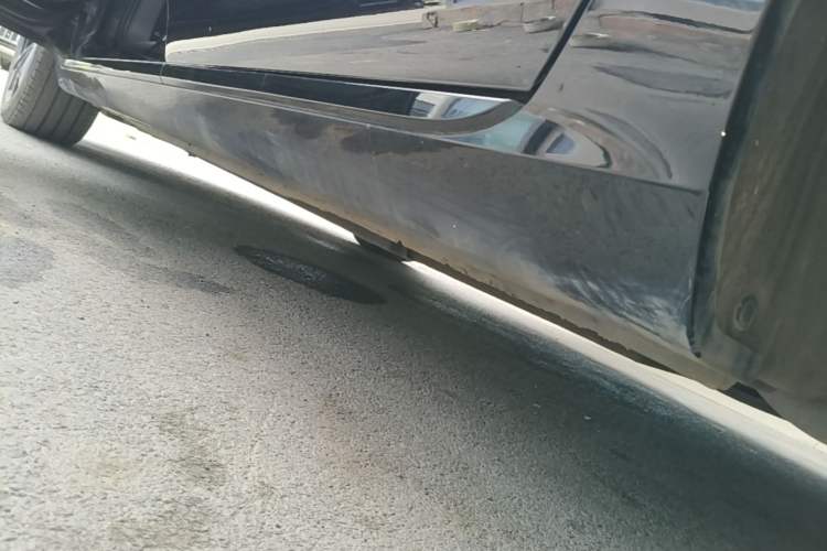 Used Hongqi H5 2025 2.0T Automatic Xuan Ying Edition Left Side Sill