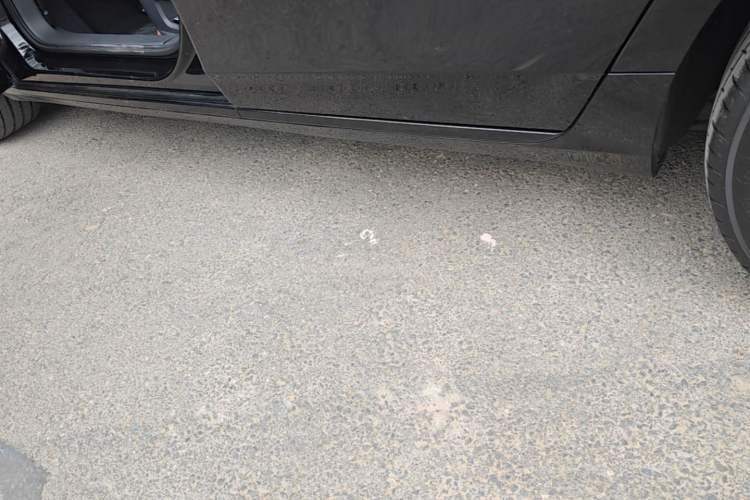Used Hongqi H5 2025 2.0T Automatic Xuan Ying Edition Left Side Sill