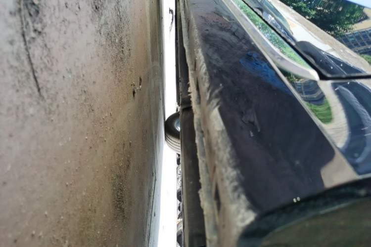 Used Hongqi H5 2025 1.5T DCT Qiyun 500 000th Unit Commemorative Edition Left Side Sill