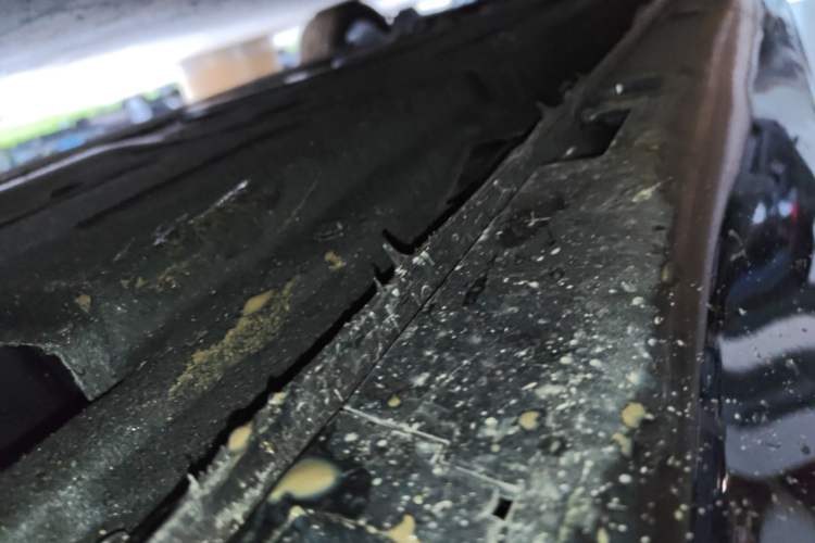 Used Hongqi H5 2025 2.0T Automatic Flag Edition – 500 000 Units Commemorative Version Left Side Sill