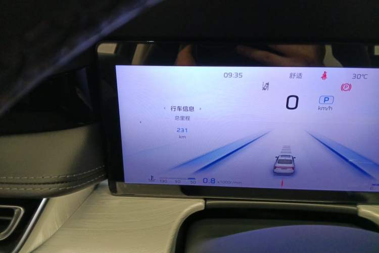 Used Hongqi H5 2025 2.0T Automatic Flag Edition – 500 000 Units Commemorative Version Odometer Close Up