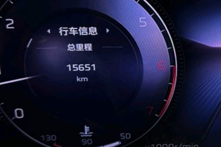 Used Hongqi H5 2025 2.0T Automatic Flag Edition – 500 000 Units Commemorative Version Odometer Close Up
