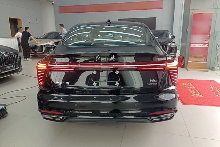 Used Hongqi H5 2025 Model 2.0T Automatic Xuan Ying 2 Million Units Commemorative Edition Rear