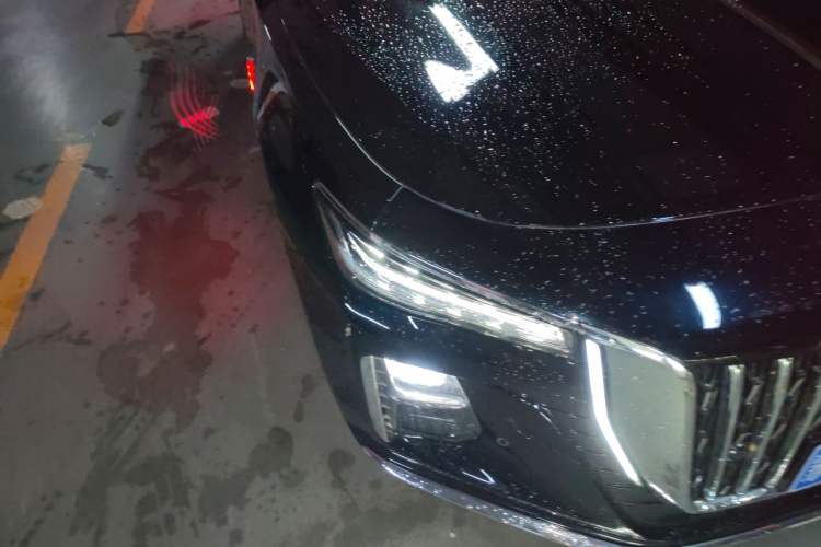 Used Hongqi H5 2025 2.0T Automatic Flag Edition – 500 000 Units Commemorative Version Right Front Headlight
