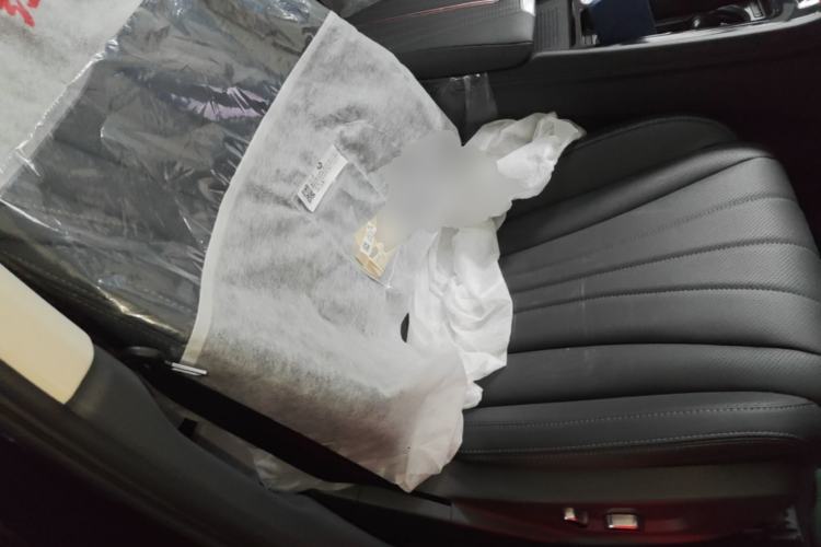 Used Hongqi H5 2025 2.0T Automatic Flag Edition – 500 000 Units Commemorative Version Right Front Seat