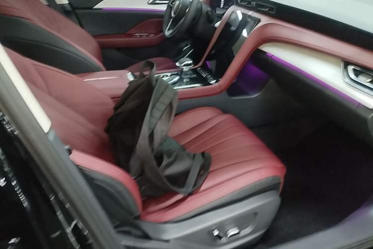 Used Hongqi H5 2025 2.0T Automatic Flag Edition – 500 000 Units Commemorative Version Right Front Seat