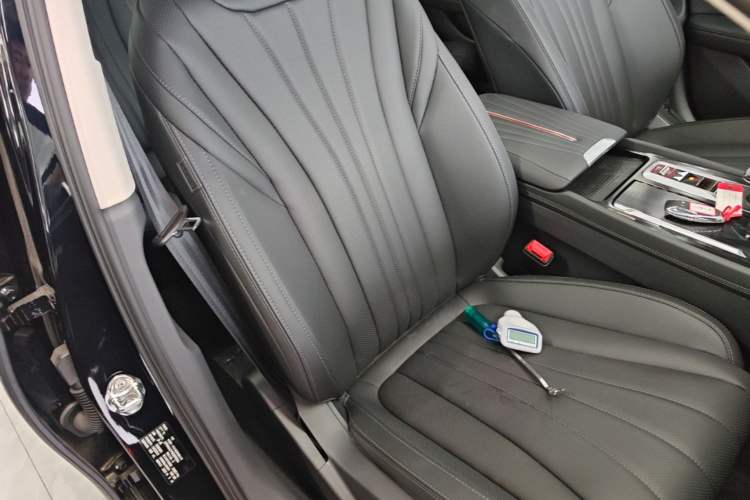 Used Hongqi H5 2025 2.0T Automatic Flag Edition – 500 000 Units Commemorative Version Right Front Seat