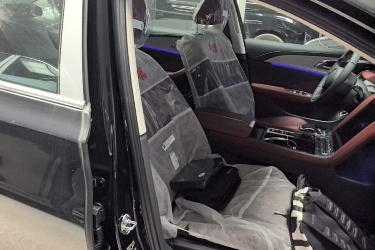 Used Hongqi H5 2025 2.0T Automatic Flag Edition – 500 000 Units Commemorative Version Right Front Seat