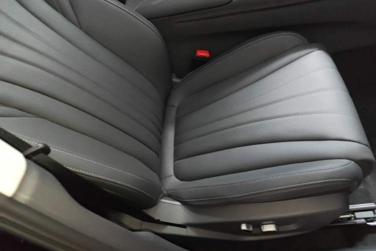 Used Hongqi H5 2025 2.0T Automatic Flag Edition – 500 000 Units Commemorative Version Right Front Seat