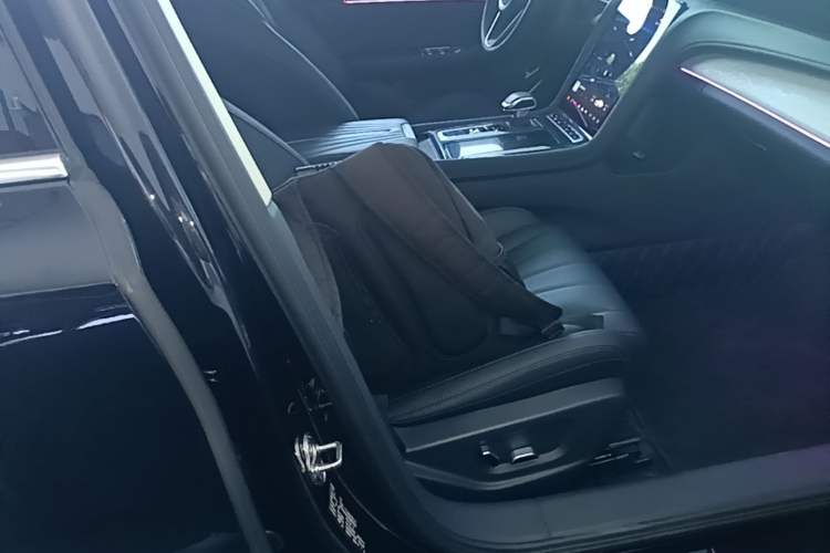 Used Hongqi H5 2025 1.5T DCT Qiyun 500 000th Unit Commemorative Edition Right Front Seat