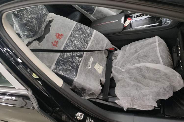Used Hongqi H5 2025 2.0T Automatic Flag Edition – 500 000 Units Commemorative Version Right Front Seat