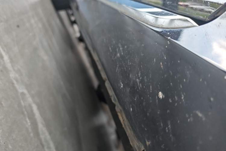Used Hongqi H5 2025 2.0T Automatic Flag Edition – 500 000 Units Commemorative Version Right Side Sill