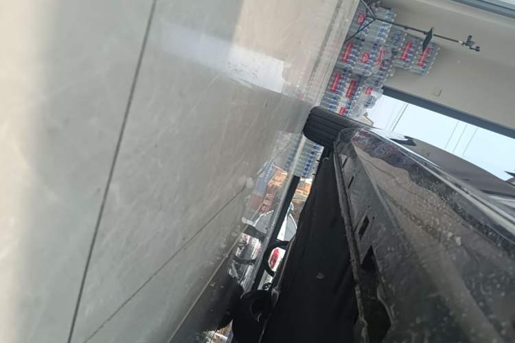 Used Hongqi H5 2025 2.0T Automatic Flag Edition – 500 000 Units Commemorative Version Right Side Sill