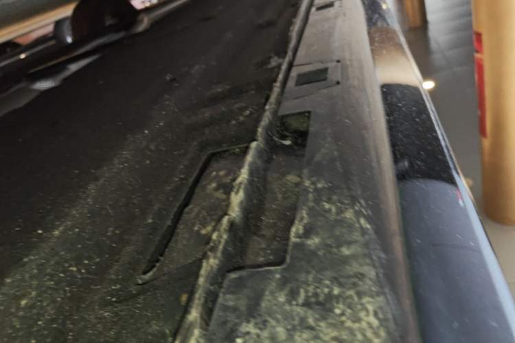 Used Hongqi H5 2025 2.0T Automatic Flag Edition – 500 000 Units Commemorative Version Right Side Sill